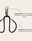 Small Bonsai Scissors