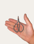 Small Bonsai Scissors