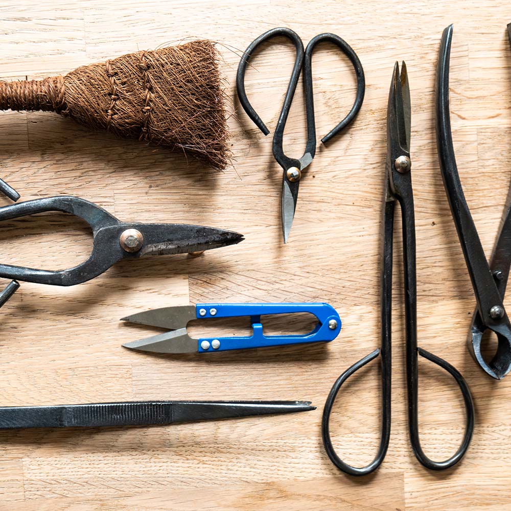 bonsai verzorgingsproducten