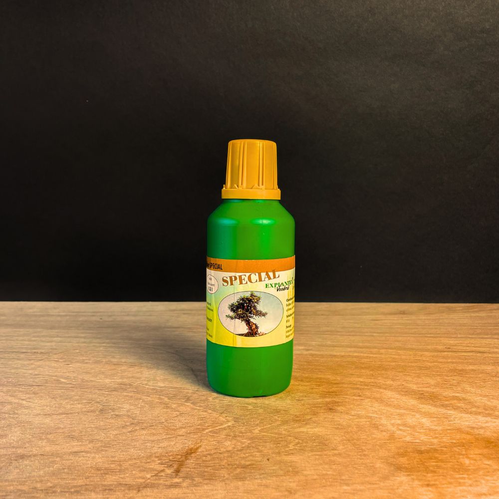 Ficus startsæt – essentiel